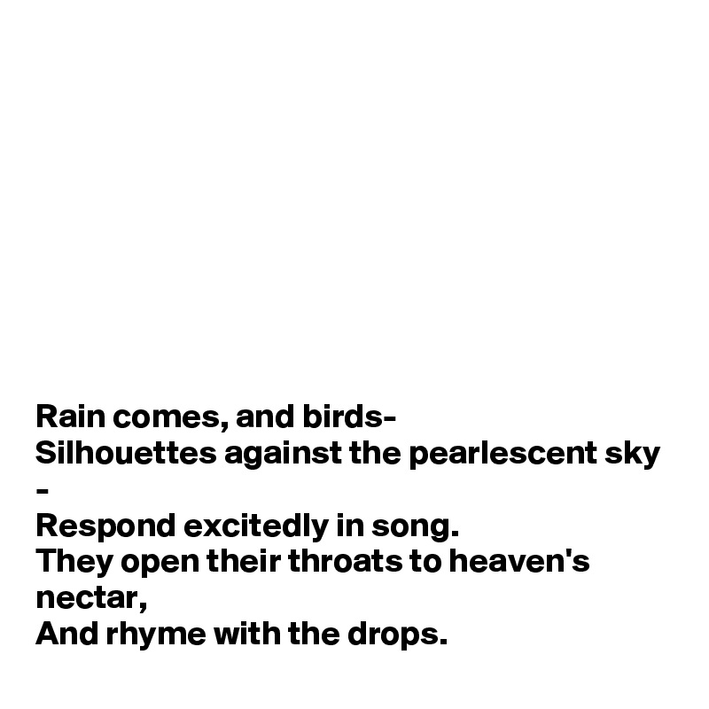 









Rain comes, and birds-
Silhouettes against the pearlescent sky -
Respond excitedly in song.
They open their throats to heaven's nectar,
And rhyme with the drops.