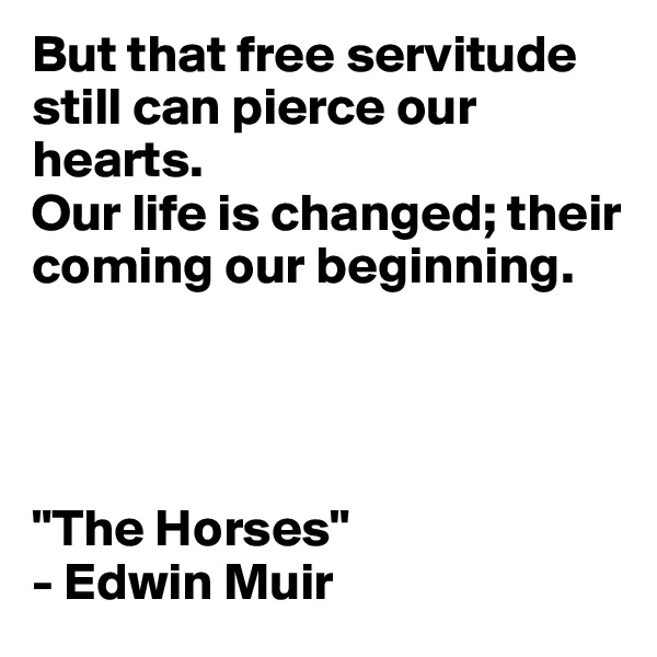 But that free servitude still can pierce our hearts.
Our life is changed; their coming our beginning.




"The Horses"
- Edwin Muir