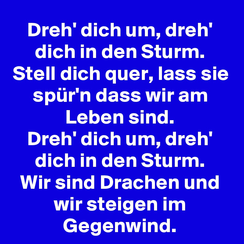 Dreh' dich um, dreh' dich in den Sturm.
Stell dich quer, lass sie spür'n dass wir am Leben sind.
Dreh' dich um, dreh' dich in den Sturm.
Wir sind Drachen und wir steigen im Gegenwind.