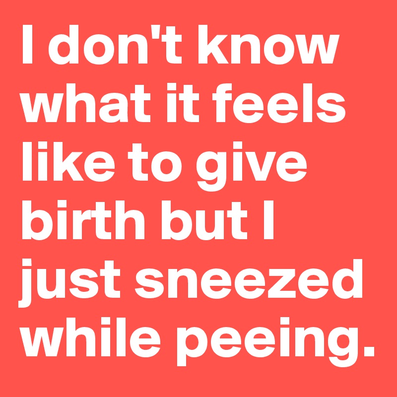 I don't know what it feels like to give birth but I just sneezed  while peeing.
