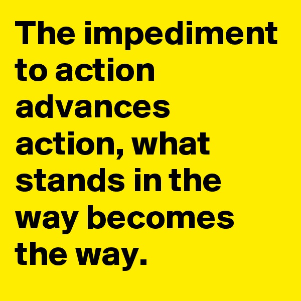The impediment to action advances action, what stands in the way becomes the way.