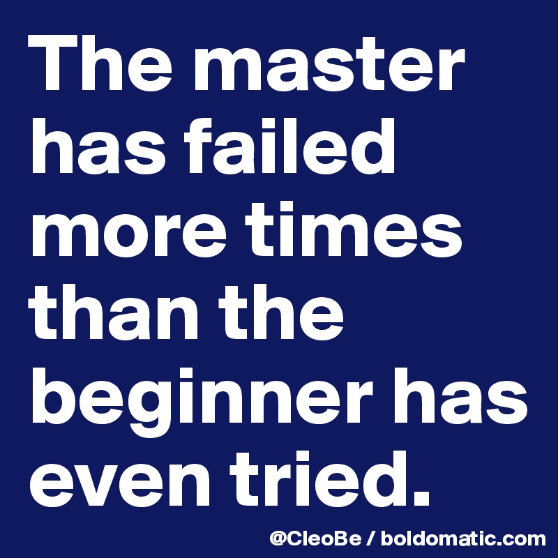 The master has failed more times than the beginner has even tried.