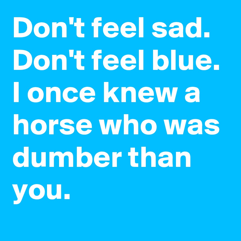 Don't feel sad. 
Don't feel blue. 
I once knew a horse who was dumber than you. 