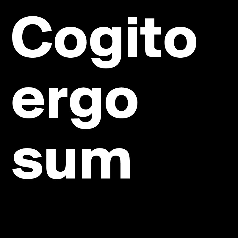 Cogito ergo sum