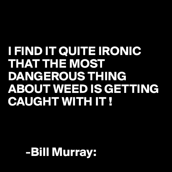 


I FIND IT QUITE IRONIC THAT THE MOST DANGEROUS THING ABOUT WEED IS GETTING CAUGHT WITH IT !



       -Bill Murray: 