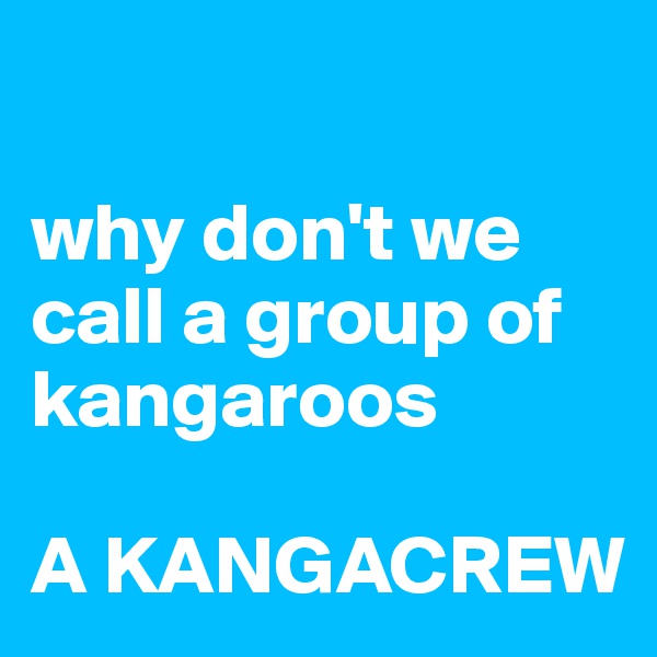 

why don't we call a group of kangaroos

A KANGACREW