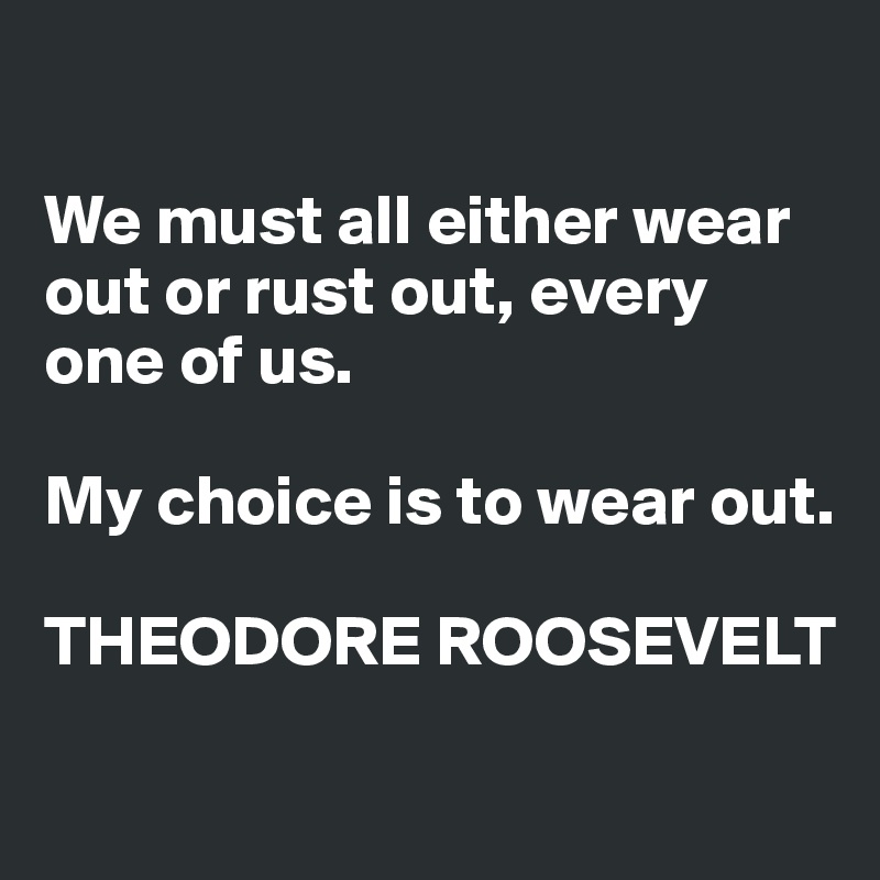 

We must all either wear out or rust out, every one of us. 

My choice is to wear out. 

THEODORE ROOSEVELT
