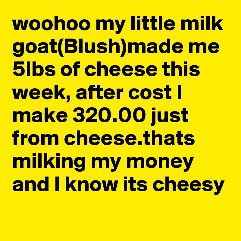woohoo my little milk goat(Blush)made me 5lbs of cheese this week, after cost I make 320.00 just from cheese.thats milking my money and I know its cheesy  