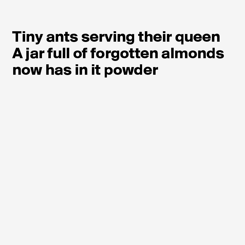 
Tiny ants serving their queen
A jar full of forgotten almonds
now has in it powder







