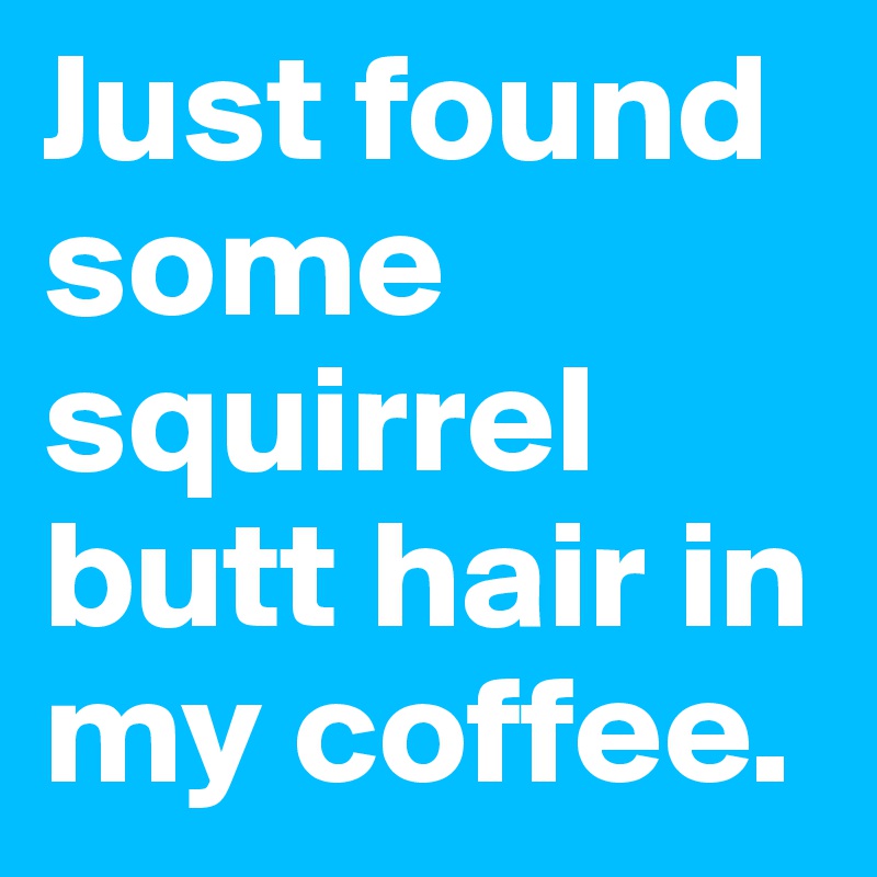 Just found some squirrel butt hair in my coffee.