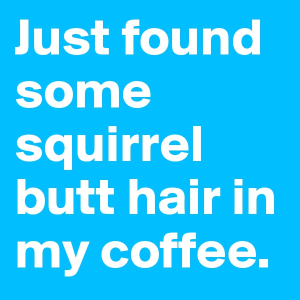 Just found some squirrel butt hair in my coffee.