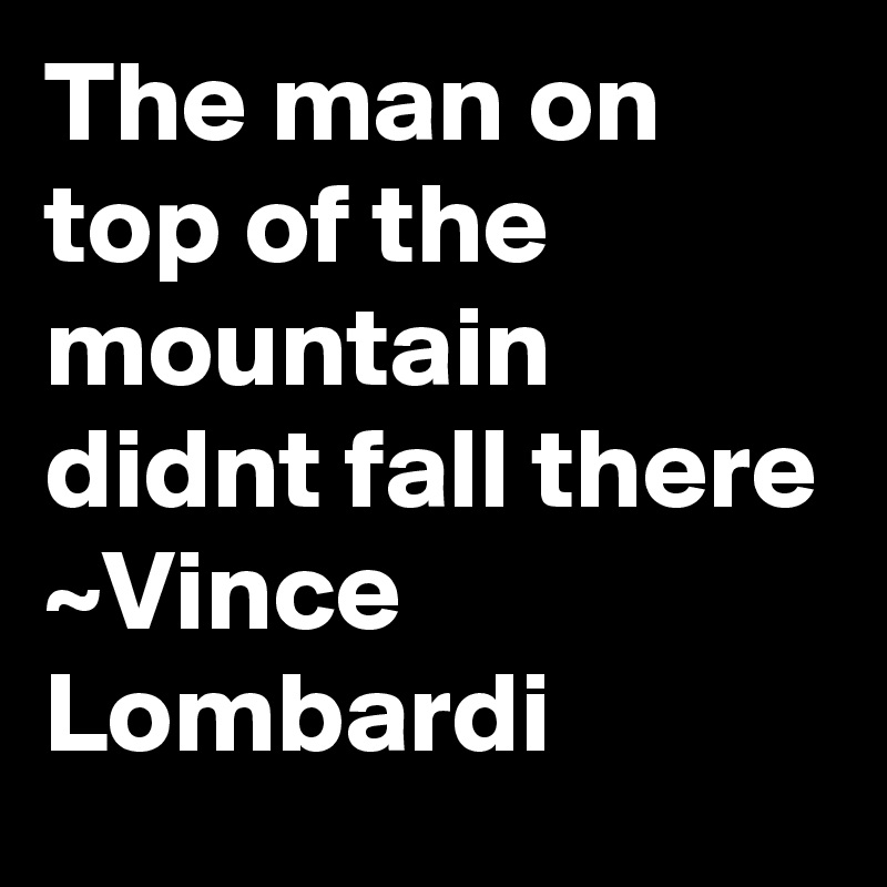 The man on top of the mountain didnt fall there
~Vince Lombardi
