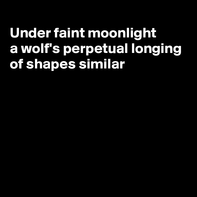 
Under faint moonlight
a wolf's perpetual longing
of shapes similar






