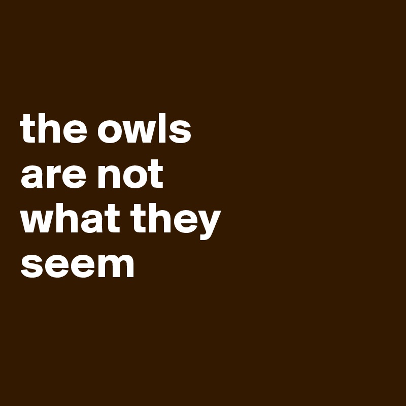 

the owls
are not
what they
seem

