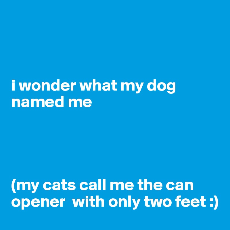 



i wonder what my dog 
named me




(my cats call me the can opener  with only two feet :)