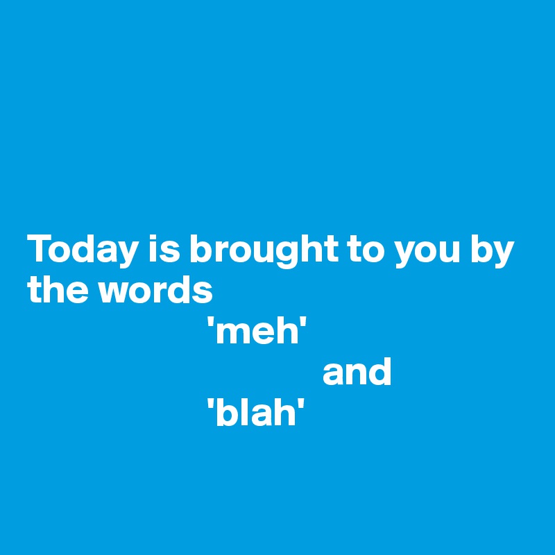 




Today is brought to you by the words
                      'meh'
                                    and
                      'blah'
                   
          