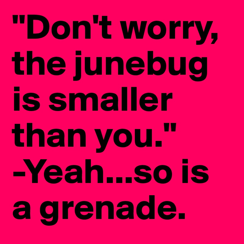"Don't worry, the junebug is smaller than you."
-Yeah...so is a grenade.