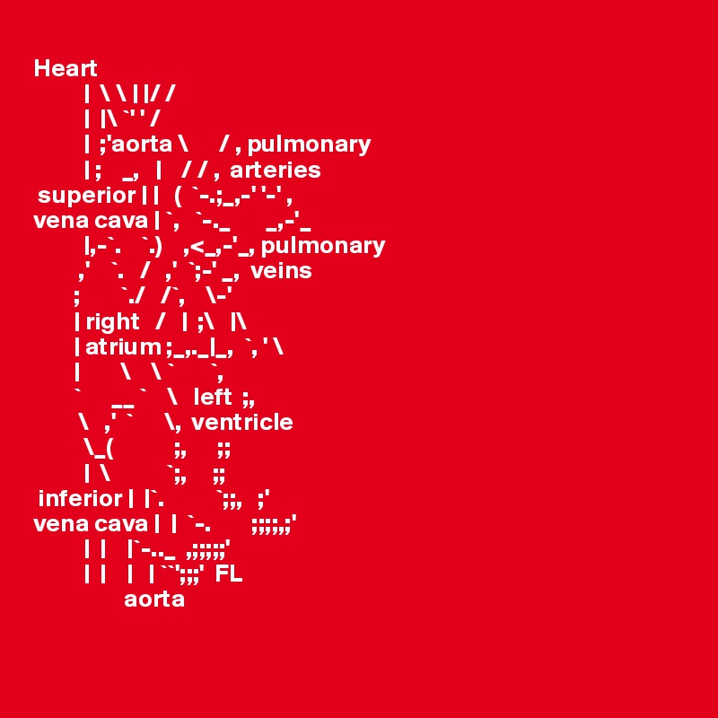 
Heart
          |  \ \ | |/ /
          |  |\ `' ' /
          |  ;'aorta \      / , pulmonary
          | ;    _,   |    / / ,  arteries
 superior | |   (  `-.;_,-' '-' ,
vena cava | `,   `-._       _,-'_
          |,-`.    `.)    ,<_,-'_, pulmonary
         ,'    `.   /   ,'  `;-' _,  veins
        ;        `./   /`,    \-'
        | right   /   |  ;\   |\
        | atrium ;_,._|_,  `, ' \
        |        \    \ `       `,
        `      __ `    \   left  ;,
         \   ,'  `      \,  ventricle
          \_(            ;,      ;;
          |  \           `;,     ;;
 inferior |  |`.          `;;,   ;'
vena cava |  |  `-.        ;;;;,;'
          |  |    |`-.._  ,;;;;;'
          |  |    |   | ``';;;'  FL
                  aorta

