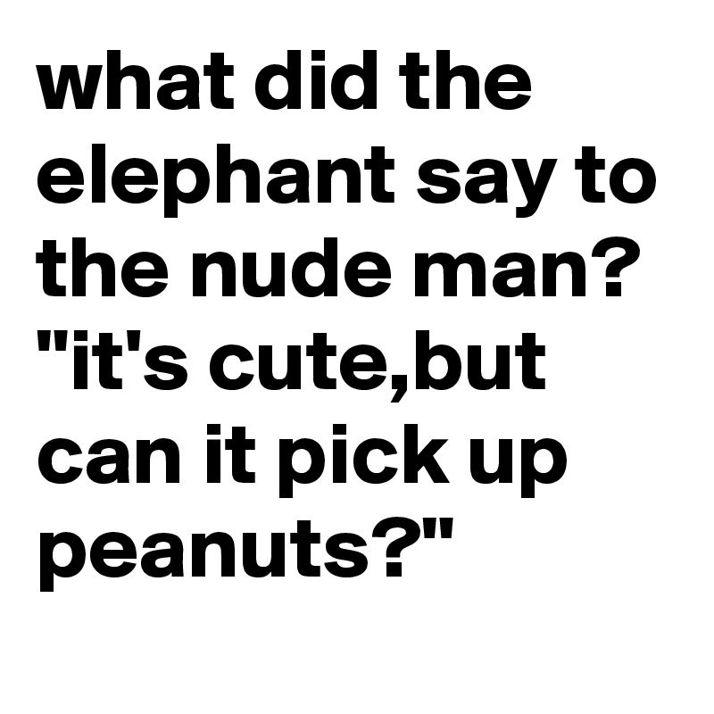 what did the elephant say to the nude man? "it's cute,but can it pick up peanuts?"
