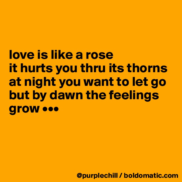 


love is like a rose
it hurts you thru its thorns
at night you want to let go
but by dawn the feelings grow •••



