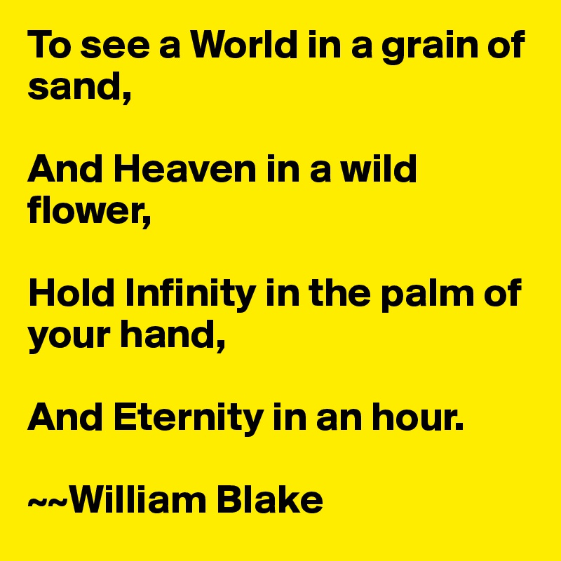 To see a World in a grain of sand,

And Heaven in a wild flower,

Hold Infinity in the palm of your hand,

And Eternity in an hour.

~~William Blake