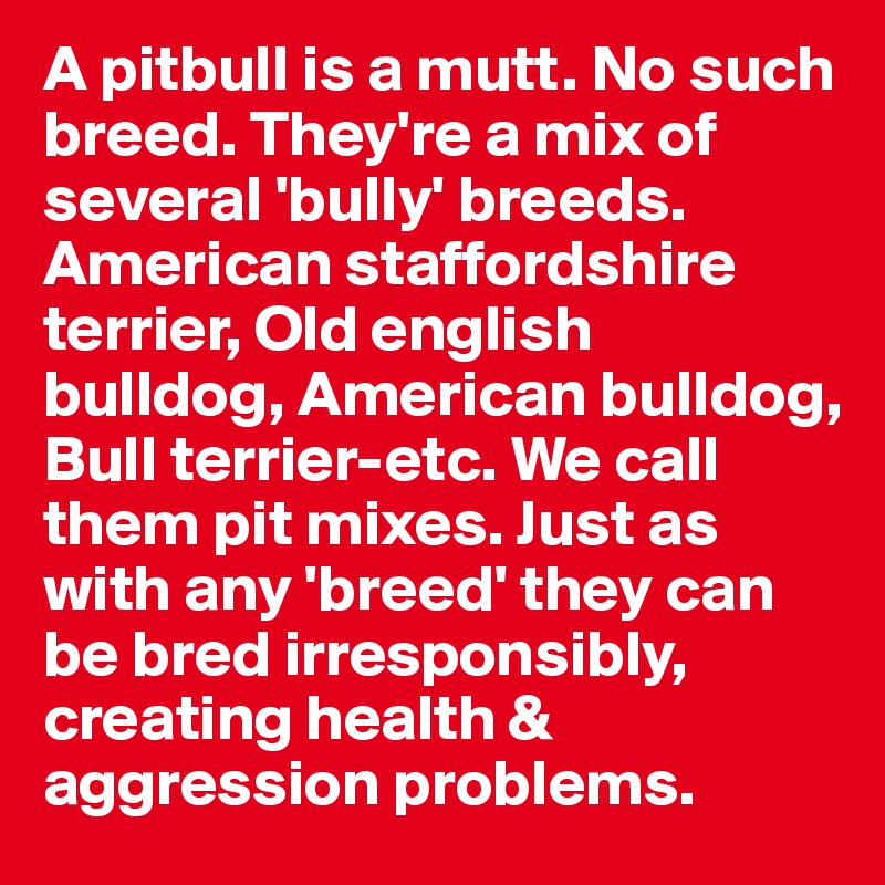 A pitbull is a mutt. No such breed. They're a mix of several 'bully' breeds. American staffordshire terrier, Old english bulldog, American bulldog, Bull terrier-etc. We call them pit mixes. Just as with any 'breed' they can be bred irresponsibly, creating health & aggression problems.