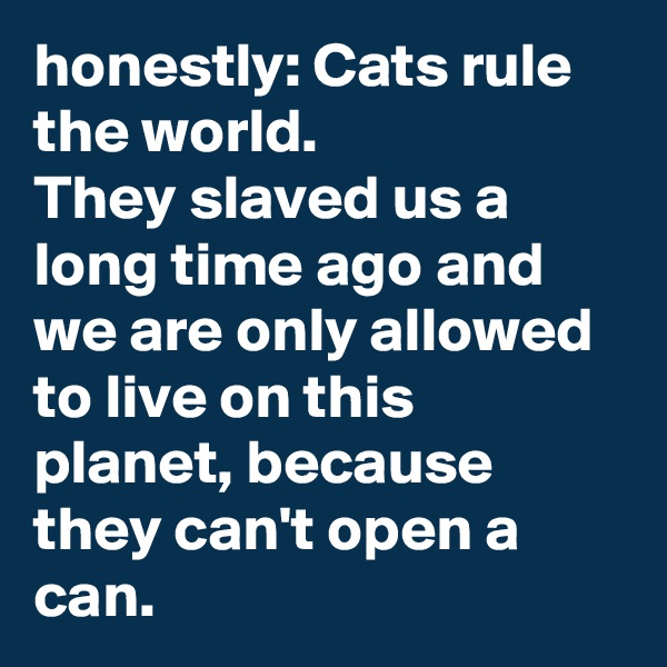 honestly: Cats rule the world.
They slaved us a long time ago and we are only allowed to live on this planet, because they can't open a can.