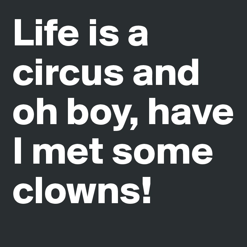 Life is a circus and oh boy, have I met some clowns!