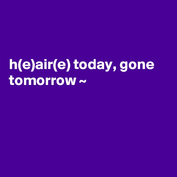 


h(e)air(e) today, gone tomorrow ~





