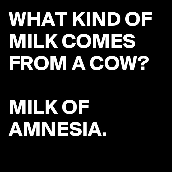 WHAT KIND OF MILK COMES FROM A COW?

MILK OF AMNESIA.
