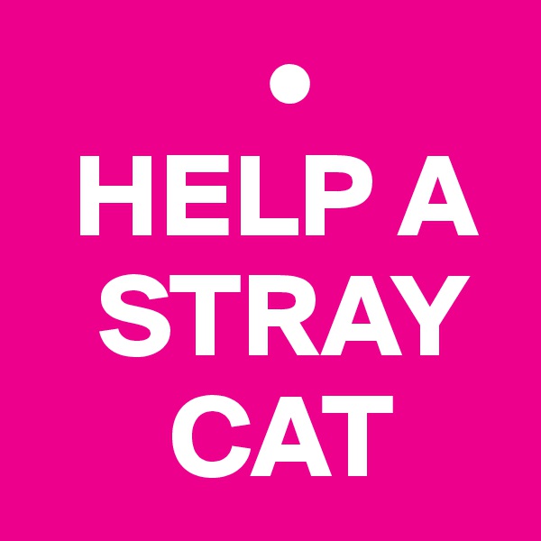           •
  HELP A  
   STRAY 
      CAT