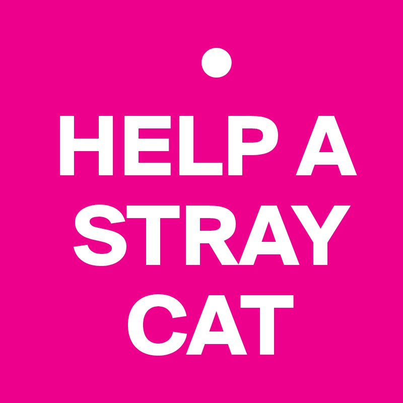           •
  HELP A  
   STRAY 
      CAT
