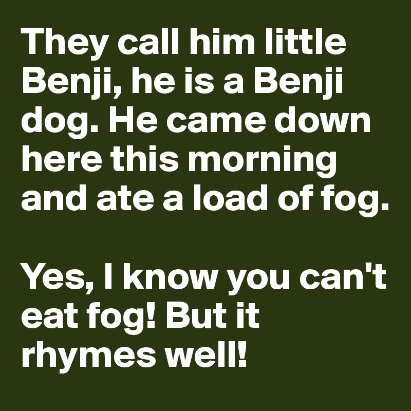 They call him little Benji, he is a Benji dog. He came down here this morning and ate a load of fog. 

Yes, I know you can't eat fog! But it rhymes well!