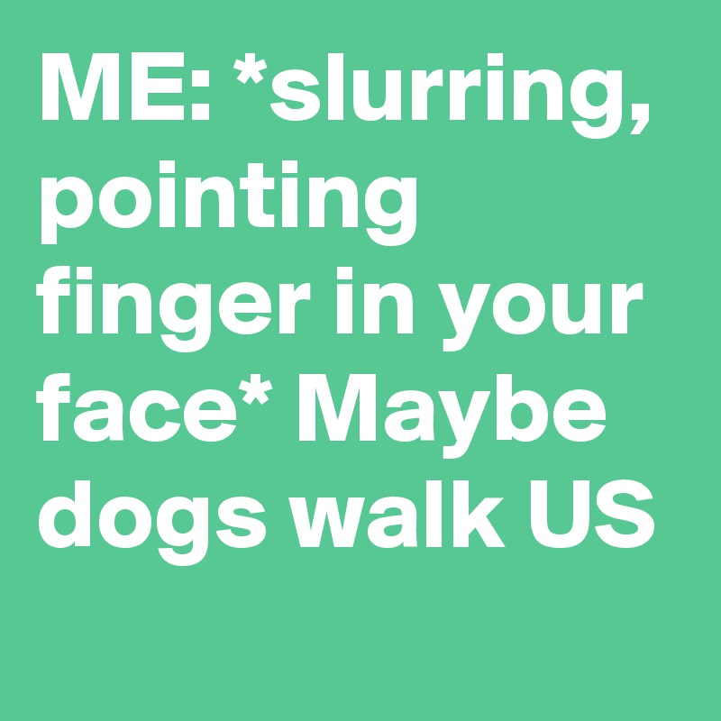 ME: *slurring, pointing finger in your face* Maybe dogs walk US