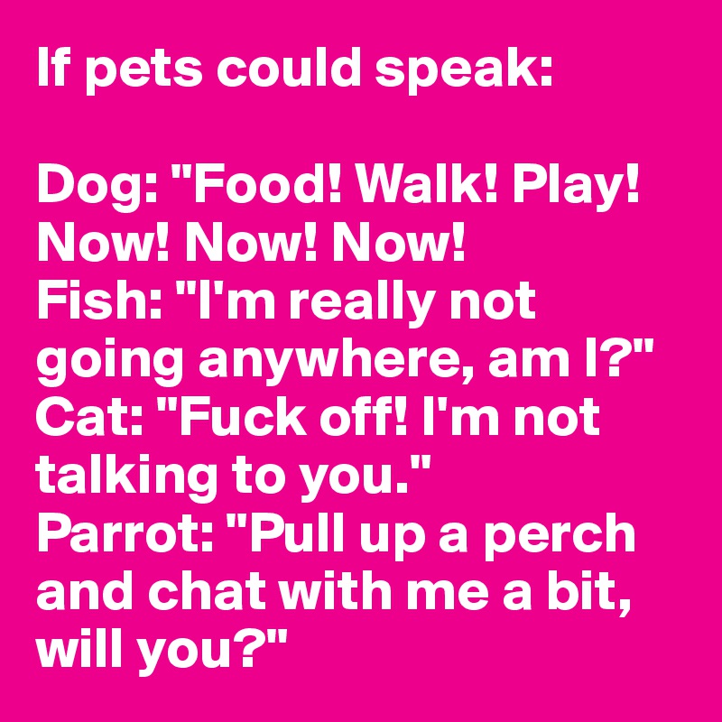 If pets could speak:

Dog: "Food! Walk! Play! Now! Now! Now!
Fish: "I'm really not going anywhere, am I?"
Cat: "Fuck off! I'm not talking to you."
Parrot: "Pull up a perch and chat with me a bit, will you?"