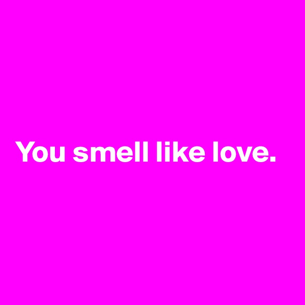 



You smell like love.




