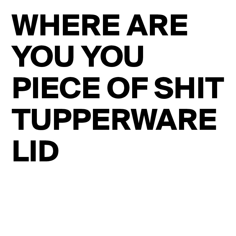WHERE ARE YOU YOU PIECE OF SHIT TUPPERWARE LID
