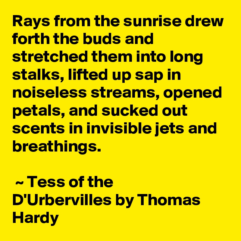 Rays from the sunrise drew forth the buds and stretched them into long stalks, lifted up sap in noiseless streams, opened petals, and sucked out scents in invisible jets and breathings.

 ~ Tess of the D'Urbervilles by Thomas Hardy