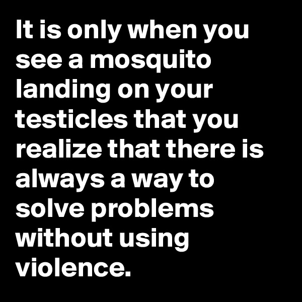 It is only when you see a mosquito landing on your
testicles that you realize that there is always a way to
solve problems without using violence.