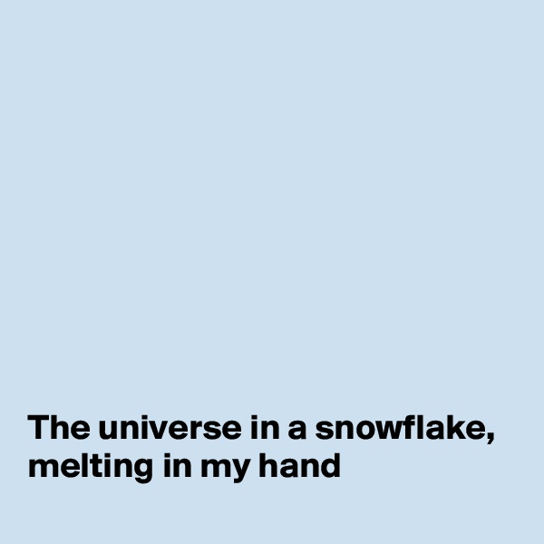 









The universe in a snowflake, melting in my hand