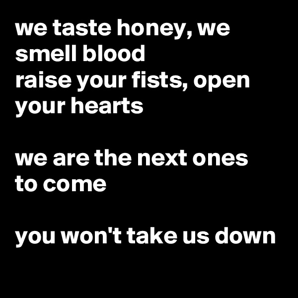 we taste honey, we smell blood
raise your fists, open your hearts

we are the next ones to come

you won't take us down
