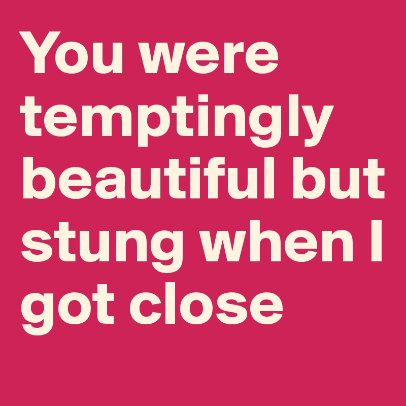 You were temptingly beautiful but stung when I got close
