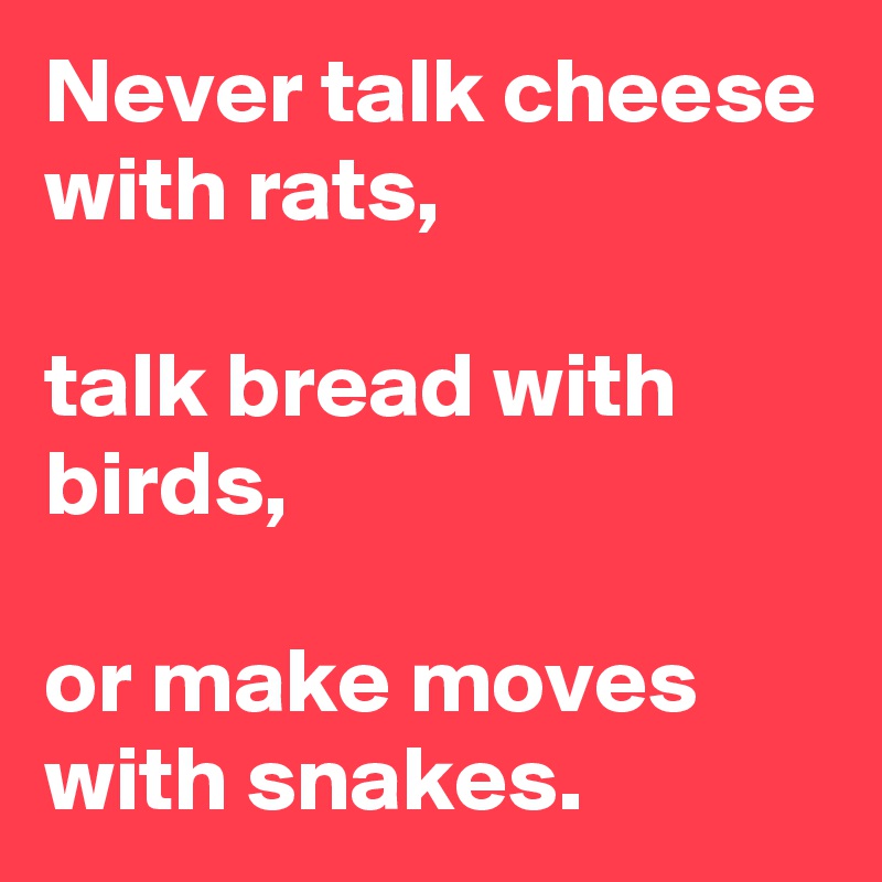Never talk cheese with rats,

talk bread with birds,

or make moves with snakes.