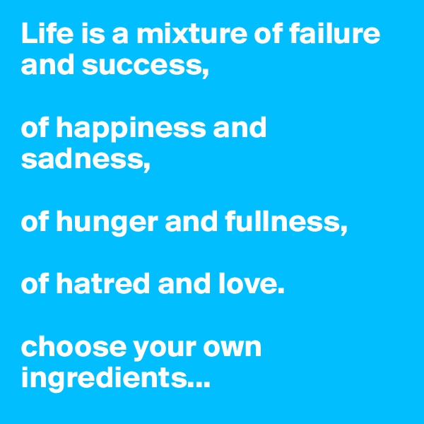 Life is a mixture of failure and success,

of happiness and sadness,

of hunger and fullness,

of hatred and love.

choose your own ingredients...