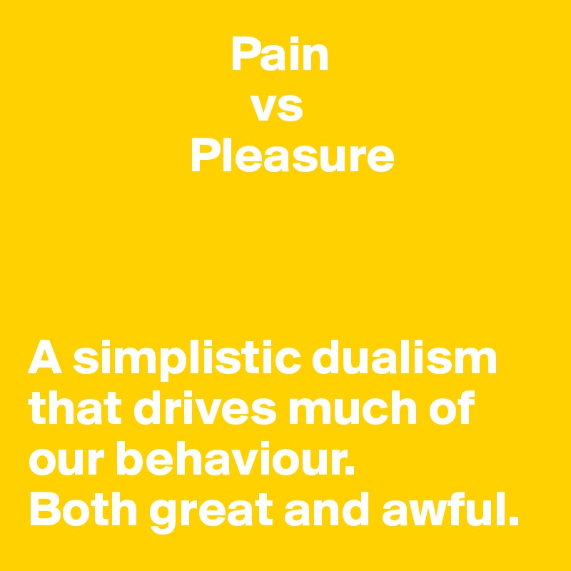                     Pain 
                      vs
                Pleasure



A simplistic dualism that drives much of our behaviour. 
Both great and awful.