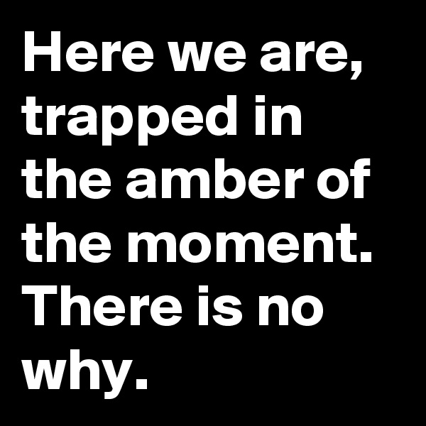Here we are, trapped in the amber of the moment. There is no why.
