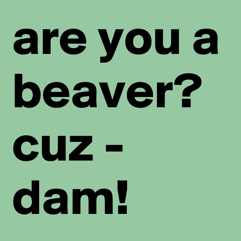 are-you-a-beaver-cuz-dam-post-by-graceyo-on-boldomatic