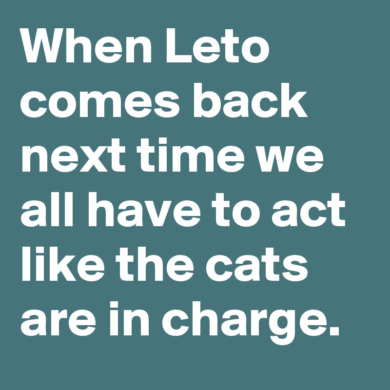 When Leto comes back next time we all have to act like the cats are in charge.