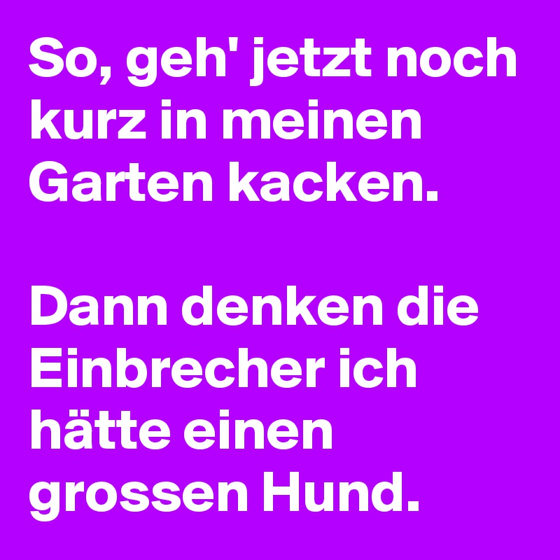 So, geh' jetzt noch kurz in meinen Garten kacken.

Dann denken die Einbrecher ich hätte einen grossen Hund.