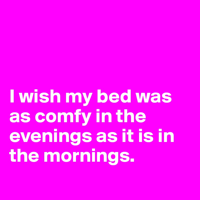 



I wish my bed was as comfy in the evenings as it is in the mornings.
